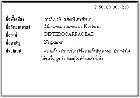 กล่องข้อความ: 7-50100-001-210 ชื่อพื้นเมือง : สารภี,ทรพี ,สร้อยพี ,สารภีแนน ชื่อวิทยาศาสตร์ : Mammea siamensis Kosterm. ชื่อวงศ์ : DIPTEROCARPACEAE ชื่อสามัญ : Negkaser ประโยชน์ : ดอกแห้ง - ตำรายาไทยใช้ดอกแห้งปรุงยาหอม บำรุงหัวใจให้ชุ่มชื่น ชูกำลัง จัดอยู่ในพิกัดเกสรทั้งห้า
